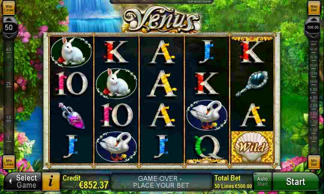 Cá cược thả ga với nhiều phần thưởng hấp dẫn tại Venus Gaming 